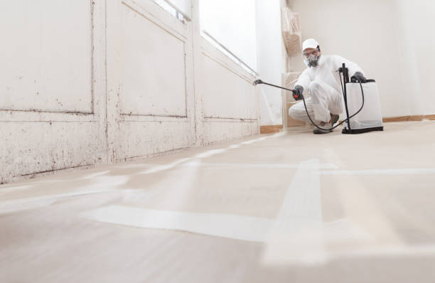 24/7 Emergency Black Mold Remediation experts in Manchester, VA
