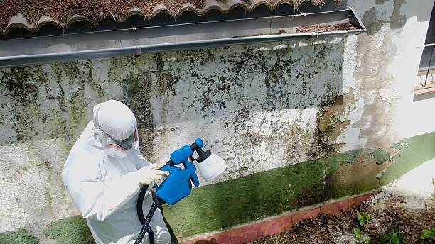 Top rated local Black Mold Remediation specialists in Manchester, VA